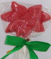 Poinsettia